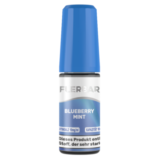 Flerbar Liquid - Blueberry Mint - Nikotinsalz Liquid 10 mg/ml