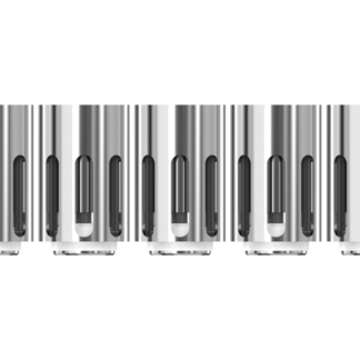 Joyetech - BFC 0,8 Ohm Heads (5 Stück pro Packung)